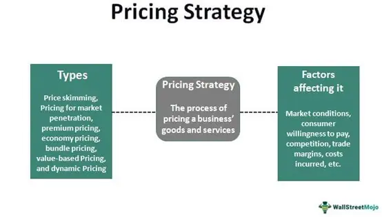 Economic Approaches to Pricing Strategies