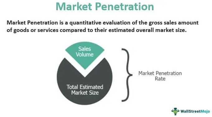 Market Share Expansion - Penetration, Skimming, and Competitive Pricing
