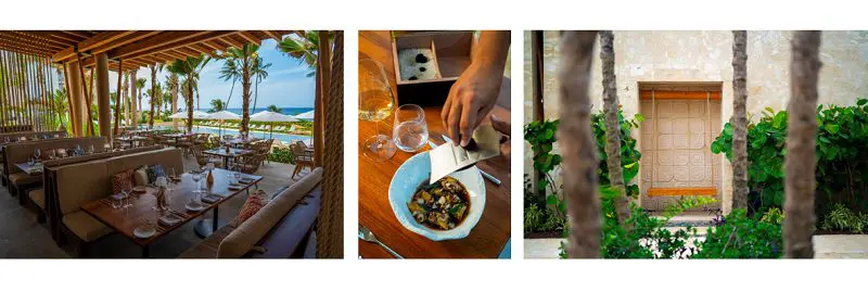 Seaside Eateries: The Allure of Coastal Outdoor Restaurants