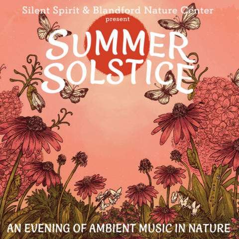Immersive Journey Through Sound - The Influence of Nature in Ambient Music