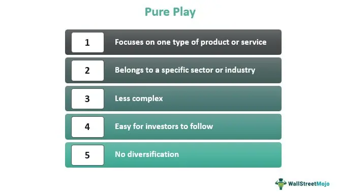 The Rise of Pure-Play E-Commerce Brands - The Success Stories of Pure-Play E-Commerce Brands