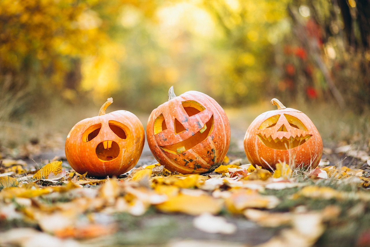 Trick-or-Treating - The Influence of Samhain on Contemporary Halloween Traditions