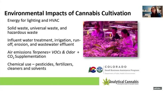Environmental Considerations in Cultivation