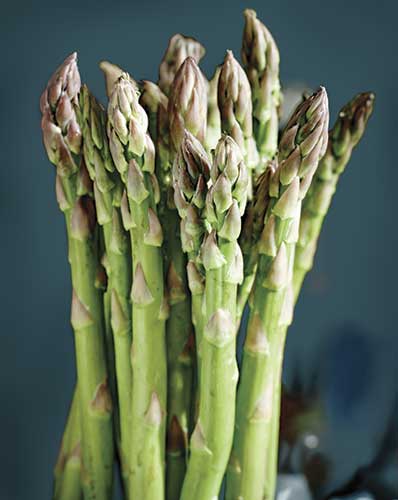 Asparagus Myths and Misconceptions