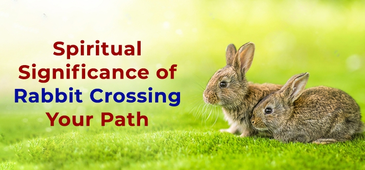 Spiritual Significance - Unraveling the Ancient Celtic Origins and Traditions