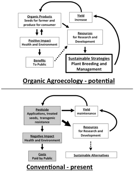 Pest and Disease Management - Sustainable Crop Rotation Strategies for Soil Health