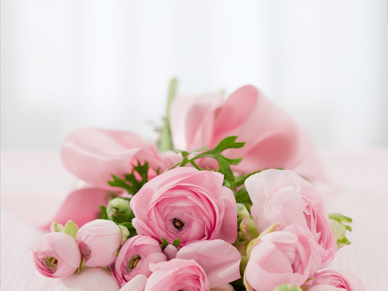 Roses - Trends, Meanings and Choosing the Perfect Bouquet