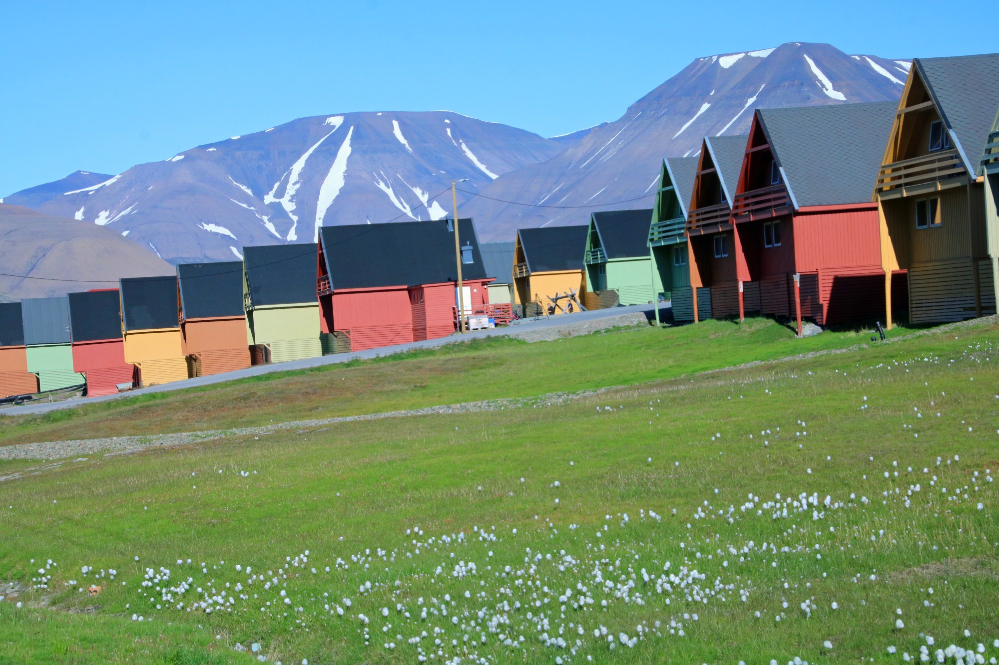 Longyearbyen: The Northernmost Settlement - Life on Svalbard: The Arctic Wilderness and Its Inhabitants