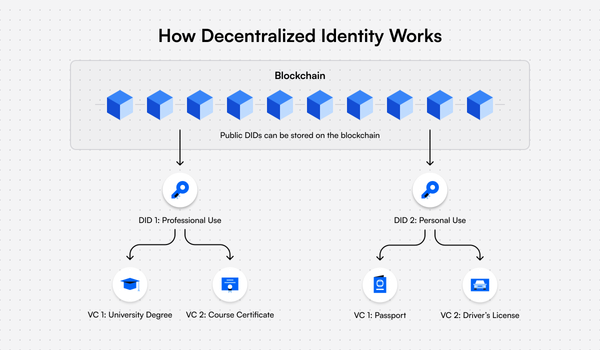 Decentralized Identity - Exploring the Benefits and Concerns