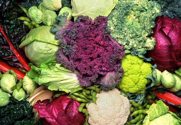 Exploring the Health Benefits and Culinary Versatility of Broccoli and Cauliflower - Cruciferous Powerhouses of Nutrition