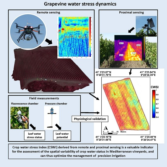 Precision Agriculture: Targeted Water Application - Adapting Agriculture to Water Scarcity