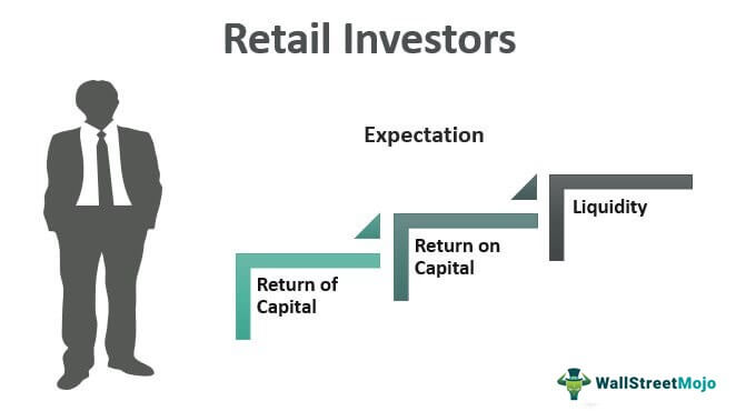 Risk and Speculation - Exploring the Role of Retail Investors in Market Volatility