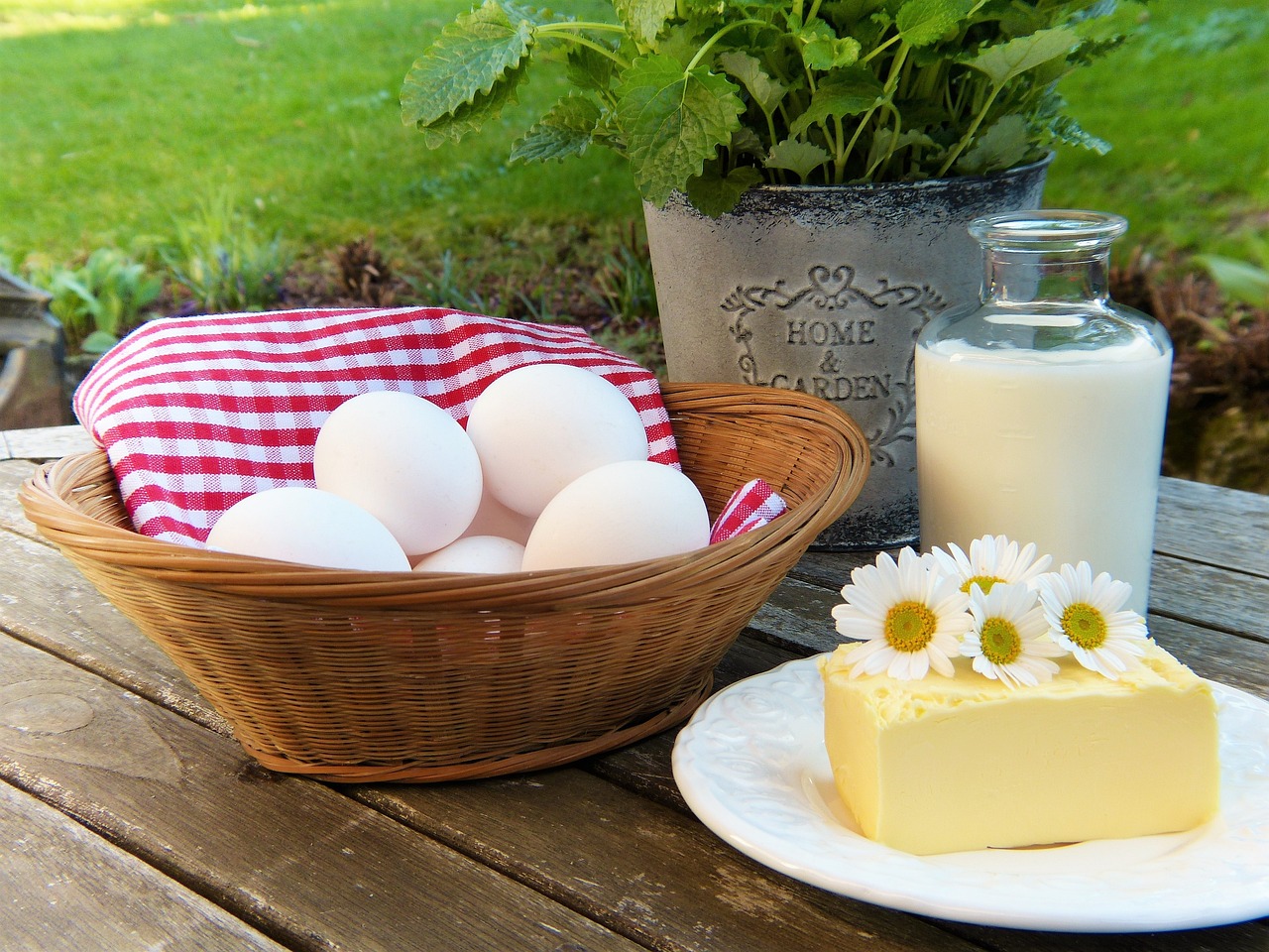 Allergen-Free Milk Alternatives - Gluten-Free and Allergen-Friendly Essentials