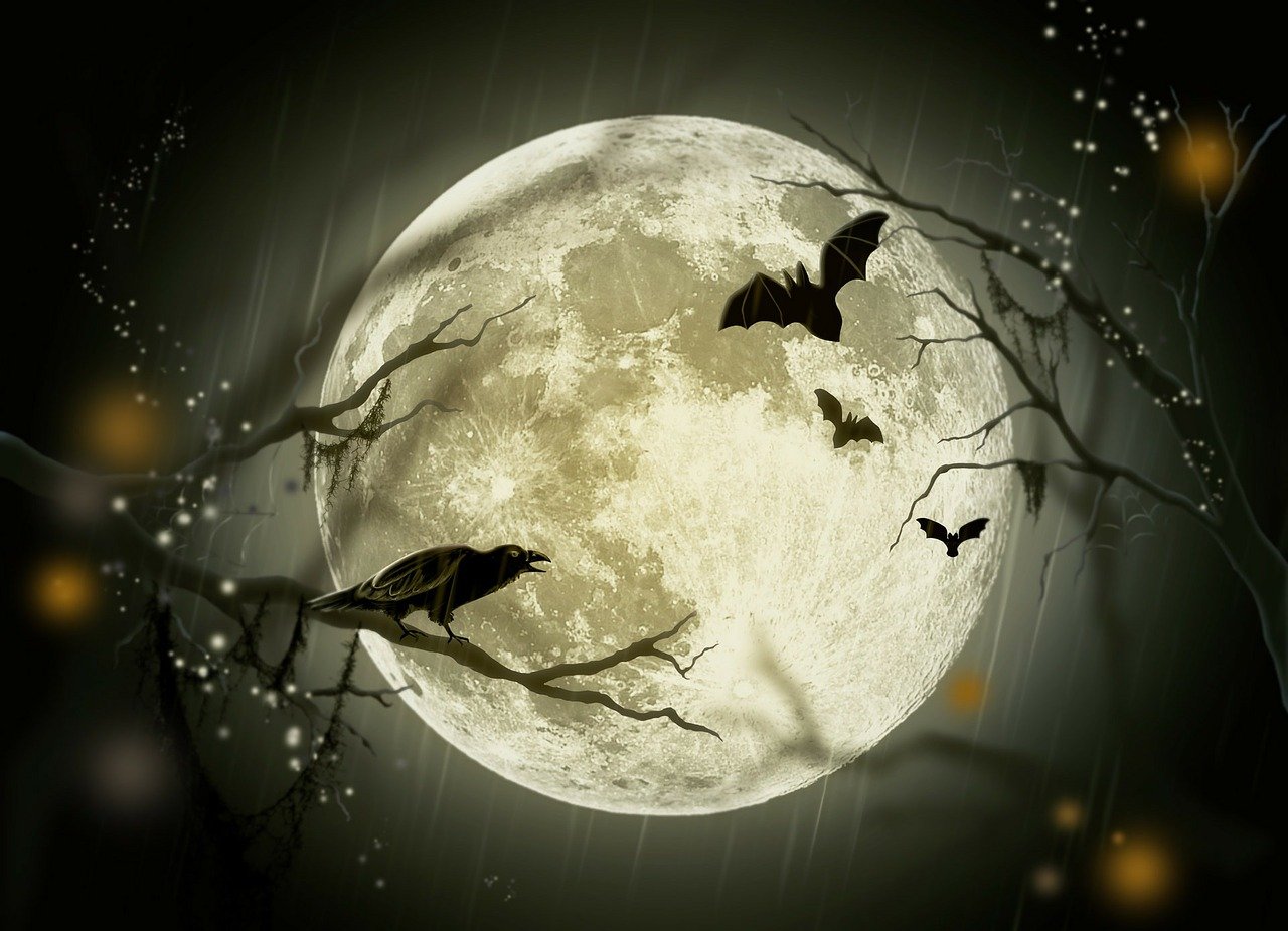Samhain and Halloween - Unraveling the Ancient Celtic Origins and Traditions