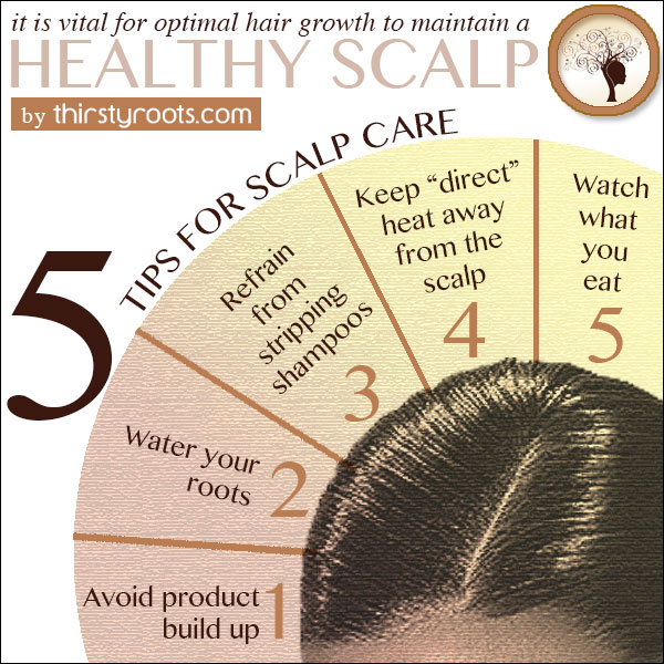 Scalp Health - Grooming Tips for a Polished Appearance
