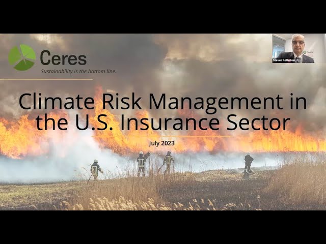 Climate Risk Modeling - Insurance Industry and Climate Change
