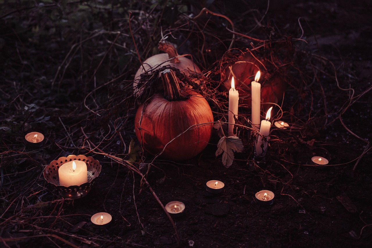 Halloween Treats - Treating Furry Friends to a Spooky Celebration