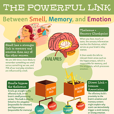 The Power of Olfaction - How Scents Affect Mood and Behavior