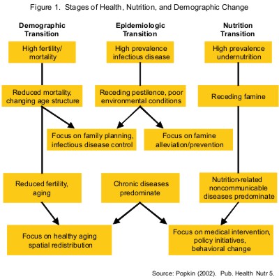 Nutritional Transition - The Challenges of Indigenous Health in Polar Communities