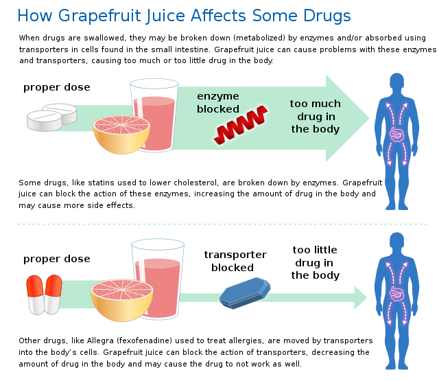 Grapefruit Juice - Statin Drug Interactions: What You Need to Know