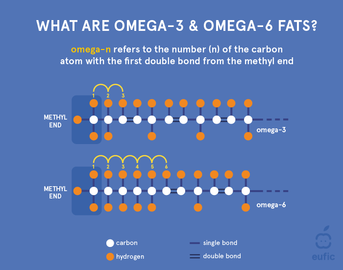 Heart Health - Incorporating Omega-3 and Omega-6 Fatty Acids into Your Diet