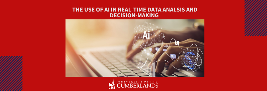 Real-Time Decision-Making - Leveraging Vast Datasets for Strategic Decisions