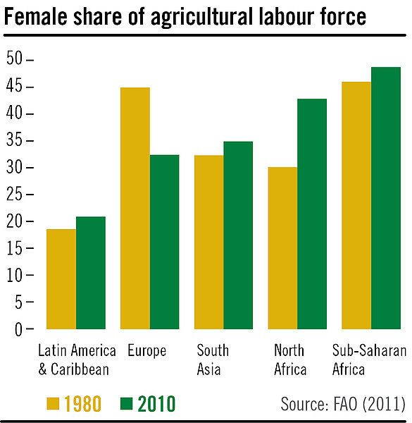 Gender-Based Discrimination - Empowering Women in Agriculture