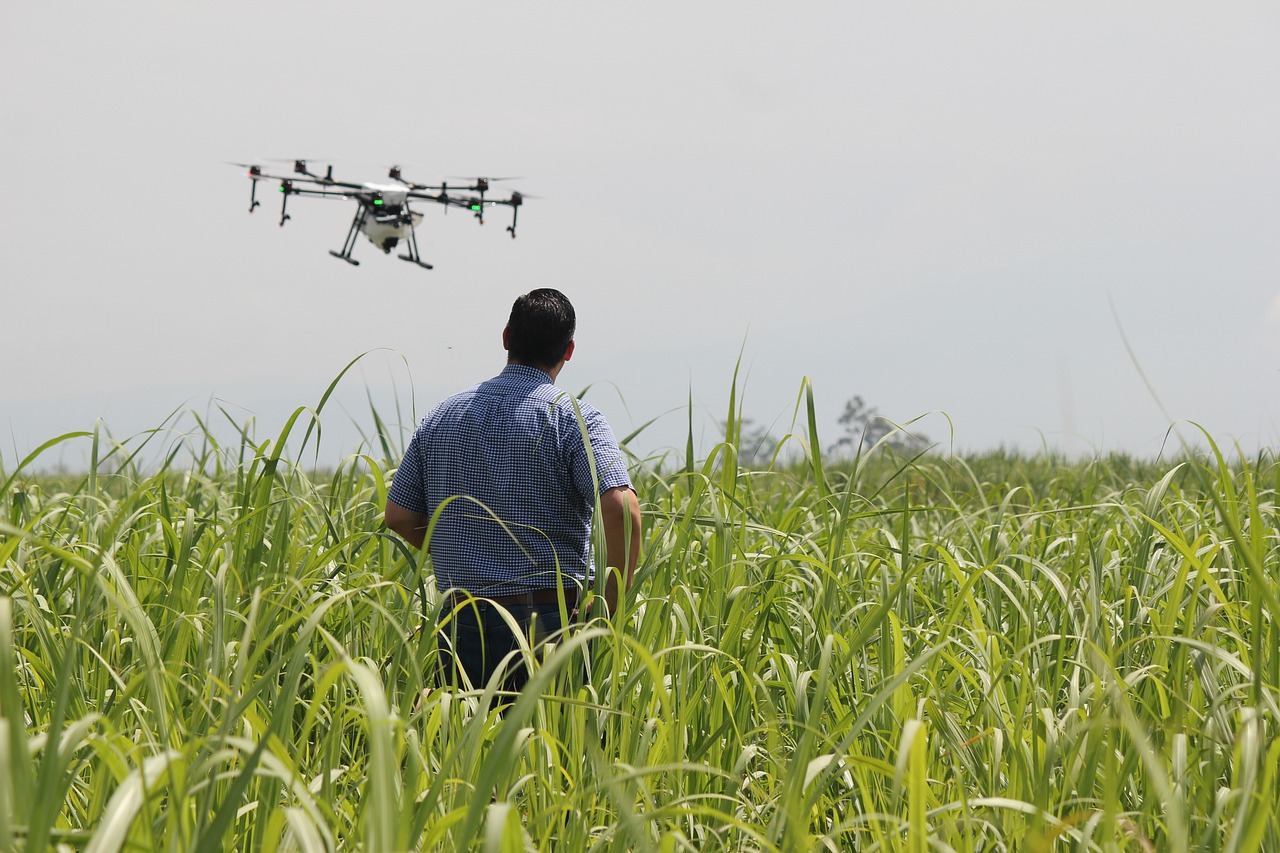 The Rise of Precision Agriculture - Aerial Insights for Crop Management