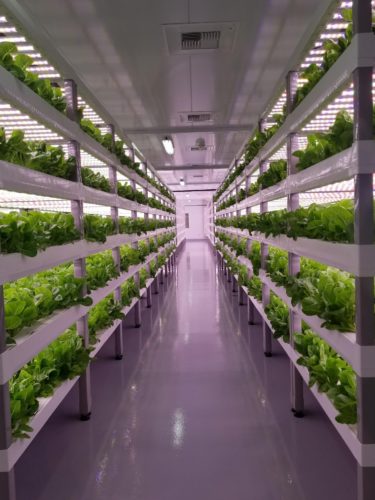 Resource Efficiency - Vertical Farming: Revolutionizing Urban Agriculture