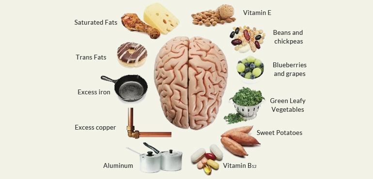 The Brain's Nutritional Needs - Essential Nutrients for Cognitive Function