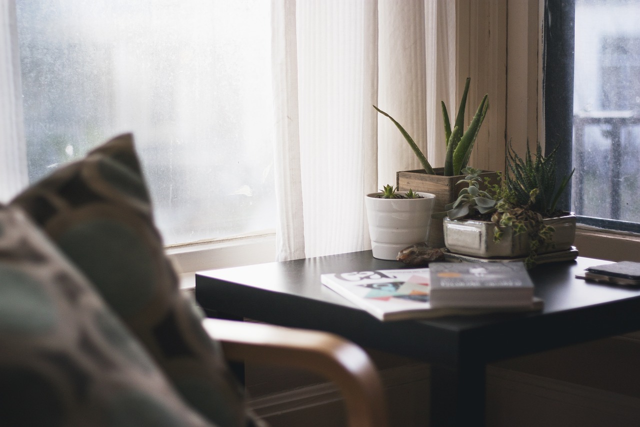 Choosing the Right Bedroom Plants - Greenery for a Calming and Healthful Environment
