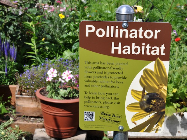 Provide Habitat - Floral Gardens and Pollinator Conservation