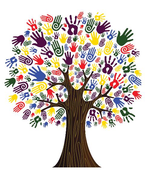 The Diversity of Volunteer Opportunities - Volunteerism and Community Service in New York