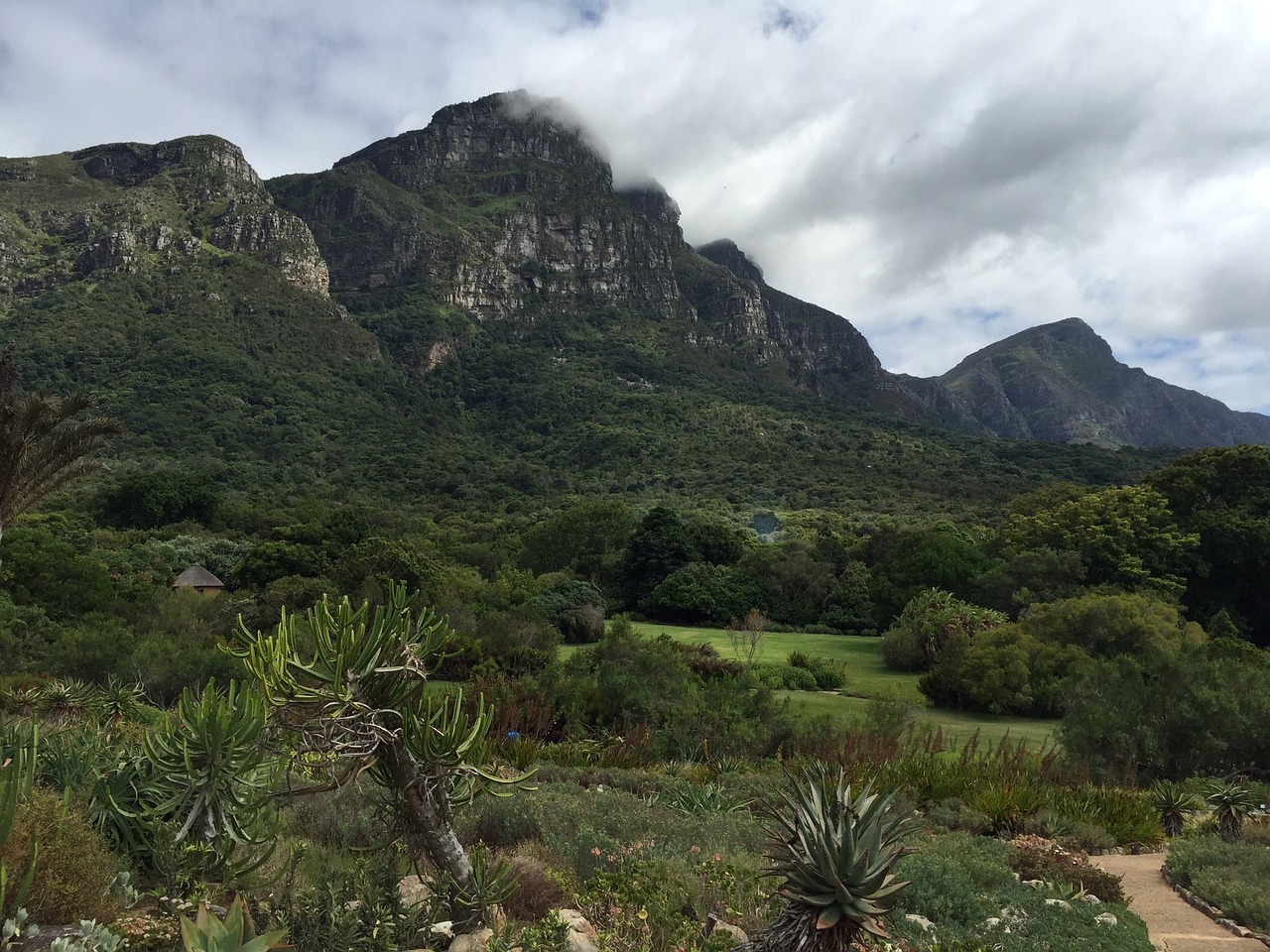 Kirstenbosch National Botanical Garden, South Africa - Showcasing Horticultural Excellence