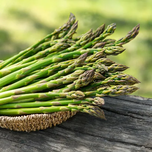 Egypt - Historical Significance of Asparagus in Ancient Civilizations